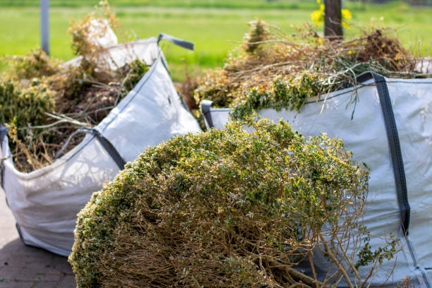 Best Same-Day Junk Removal Services  in Level Green, PA